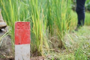 Menteri ATR/BPN Imbau Masyarakat Pasang Patok Permanen untuk Cegah Konflik Batas Tanah