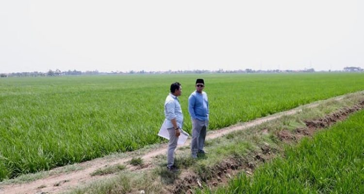 Nusron Tinjau Lahan Sawah di Indramayu, Proyek Industri Tetap Diawasi Ketat