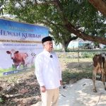 Momen Menteri Nusron Wahid Kurban di Ponpes Attaqwa dan Ziarah ke Makam Pahlawan KH Noer Alie