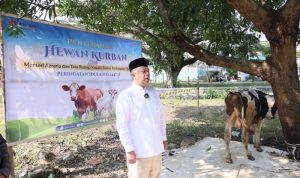Momen Menteri Nusron Wahid Kurban di Ponpes Attaqwa dan Ziarah ke Makam Pahlawan KH Noer Alie
