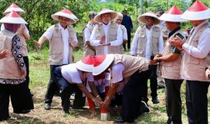 pasang patok batas tanah Pasang Patok Batas Tanah untuk Cegah Sengketa dengan Tetangga