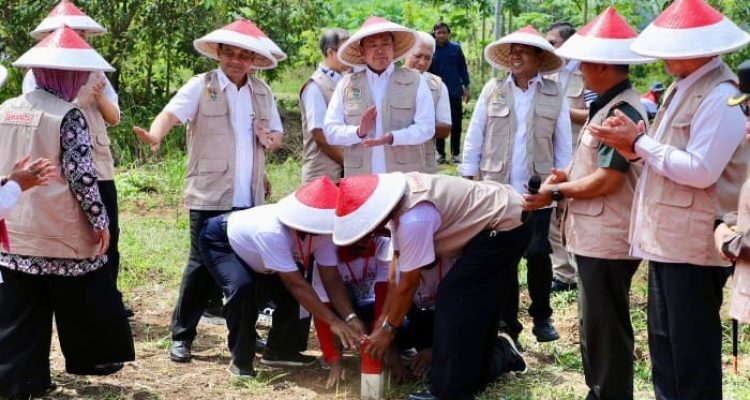Pasang Patok Batas Tanah untuk Cegah Sengketa dengan Tetangga