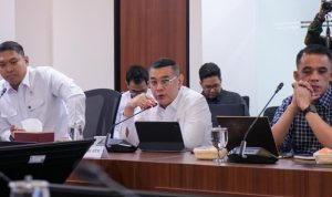 Wamen ATRBPN Ossy Laporkan Progres Dukungan KSPEAN di Papua Selatan