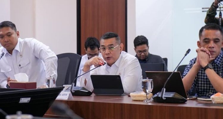 Wamen ATRBPN Ossy Laporkan Progres Dukungan KSPEAN di Papua Selatan